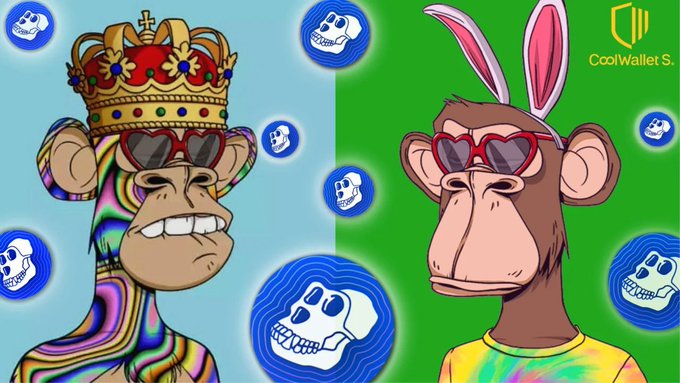 Two Bored Ape Yacht Club NFTs displayed side by side - one wearing a crown and sunglasses, the other with bunny ears and heart-shaped sunglasses - alongside the CoolWallet S logo.