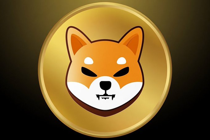 "Floki", which is a Japanese character that translates to "shiny gold". This could be interpreted as the golden color of the coin, or the shiny gold material used for the coin's design.