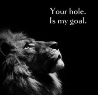 A lion's profile is shown in a black-and-white image, accompanied by the text "Your hole. Is my goal." The post's vulgar wording combined with the lion's predatory gaze is a hostile dismissal of the cryptocurrency Solana, conveyed using Solana's own official lion mascot turned against it.