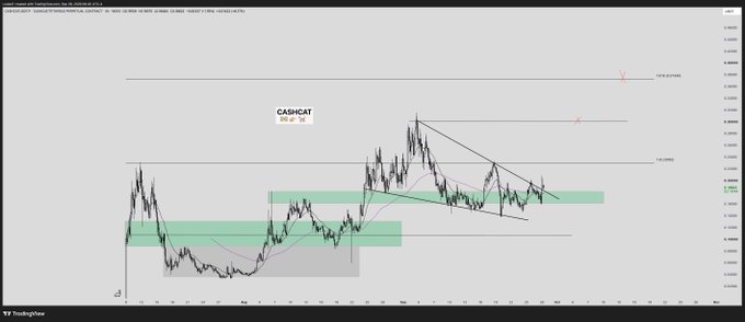 A TradingView candlestick chart for the ticker CASHCAT on Bybit spot, displaying price action around 0.0000267-0.0000370 with green support zones and a descending trendline, matching the post's enthusiastic call for the asset to perform.