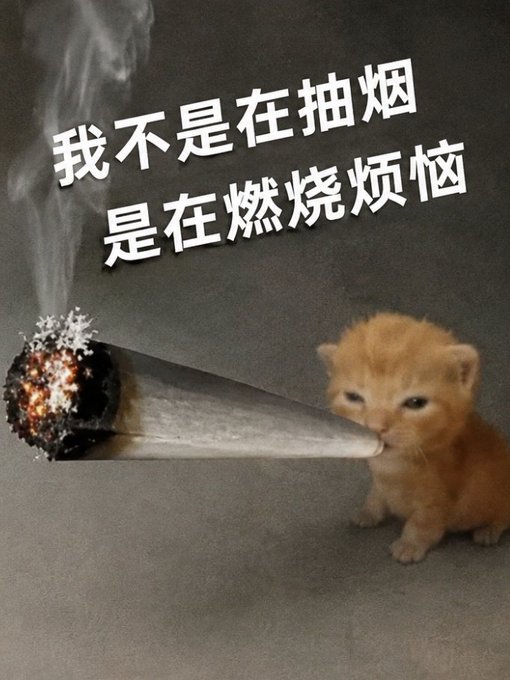 A humorous meme showing an orange kitten smoking a large burning joint with Chinese text reading '我不是在抽烟 是在燃烧烦恼' (I'm not smoking, I'm burning my worries).
