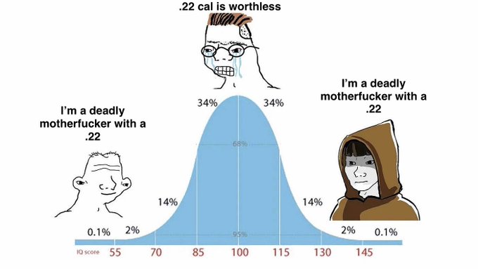 A meme featuring a bell curve with a nervous sweating soyjak at the peak labeled '.22 cal is worthless,' flanked by a wojak on the left and a hooded figure on the right, both stating 'I'm a deadly motherfucker with a .22,' with IQ score labels ranging from 55 to 145.