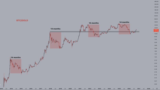 A logarithmic BTC/GOLD chart spanning from 2013 to 2027 with four highlighted red zones, each labeled '14 months,' showing cyclical patterns in the Bitcoin-to-gold ratio.
