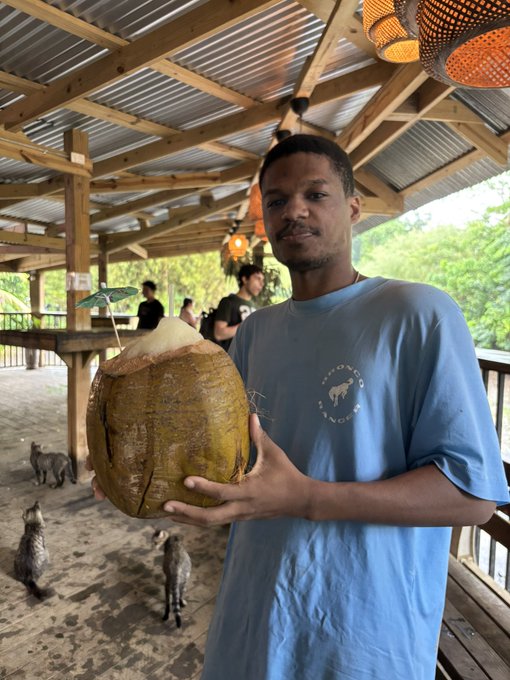 A young man in a light blue t-shirt holding a freshly cracked open green coconut with a small umbrella garnish, standing in an open-air beachside pavilion with several cats roaming around on the sandy floor.