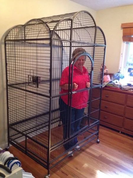 A woman in a pink top stands inside a very large, tall, arched metal birdcage on wheels in a room with wooden floors and a dresser.