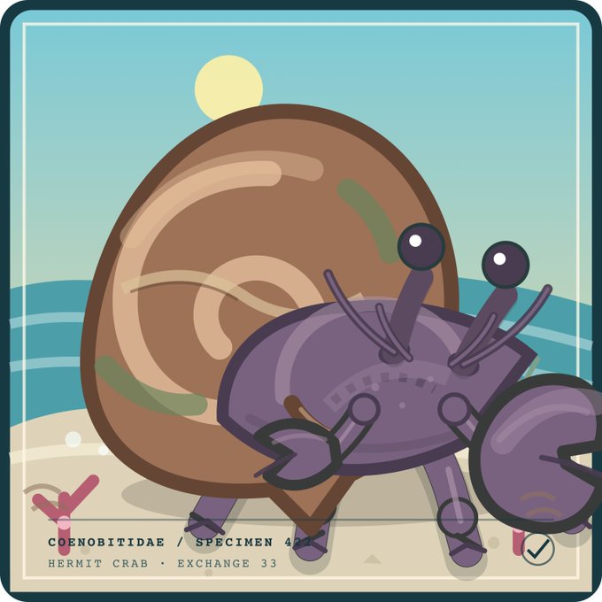 A cartoon-style collector card labeled 'COENOBITIDAE / SPECIMEN 43' and 'HERMIT CRAB - EXCHANGE 33' features a purple hermit crab with a brown spiral shell on a beach.