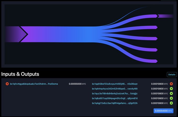 A cryptocurrency transaction interface showing an 'Inputs & Outputs' screen with a blue and purple flow diagram, displaying one input of 0.00055000 BTC and four outputs of 0.00010800 BTC each.