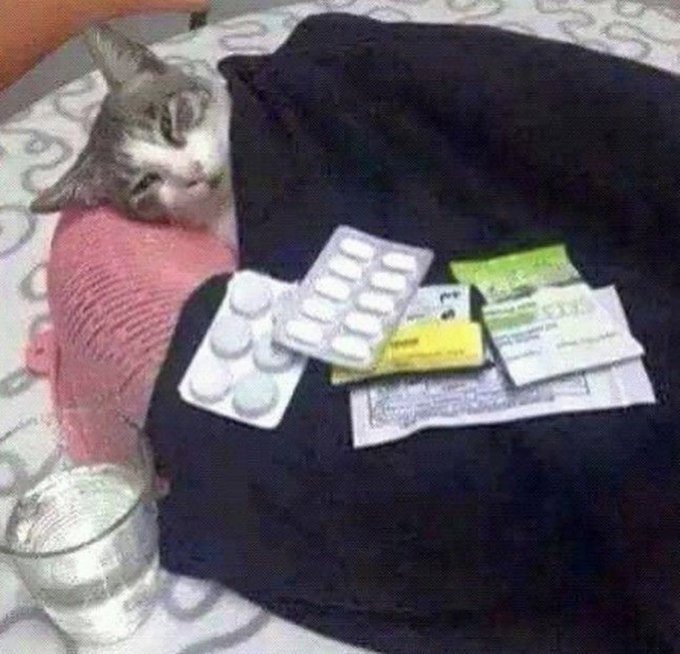 A grey and white tabby cat wearing a pink knitted sweater lying on a bed next to a collection of pill blister packs, medication boxes, and sachets.