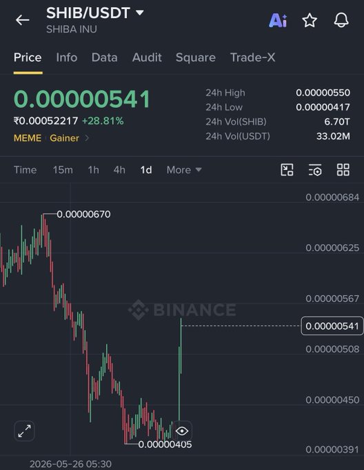 A Binance price chart for SHIB/USDT (SHIBA INU) showing a current price of 0.00000541 with a +28.81% gain, displaying a significant price drop and recovery on a 1-day timeframe.