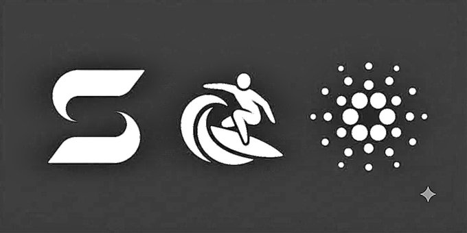 Three white logos on a dark gray background: a stylized 'S' logo, a surfer figure riding a wave, and a circular dot pattern resembling the Cardano cryptocurrency logo.