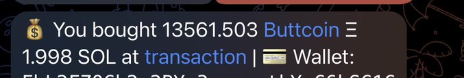 A notification message appearing on a dark background with a money bag emoji, stating 'You bought 13561.503 Buttcoin' for '1.998 SOL at transaction' with a wallet address partially visible.