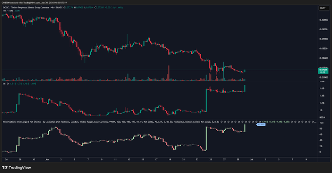 A TradingView chart of DOGE/USD on BitMEX (4-hour timeframe) dated June 30, 2025, shows DOGE trading around $0.17256 with a downward trend, while the bottom panel tracks the "Net Positions (Net Longs & Net Shorts) of BitMEX whales," which spiked sharply upward on the 24th—visually confirming the post's claim of massive long-position buying by BitMEX whales.