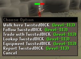 A screenshot from a retro video game (level 113) showing a "Choose Option" menu with commands like Walk here, Follow, Look up, Equipment, Report, and Cancel, all directed at a character called "TwistedDICK."
