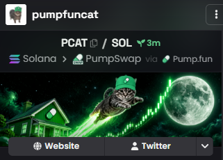A token page screenshot for 'pumpfuncat' (PCAT/SOL) with a 3m price change and links to Solana, PumpSwap, and Pump.fun, featuring an illustration of a cat in a fish-shaped spaceship.