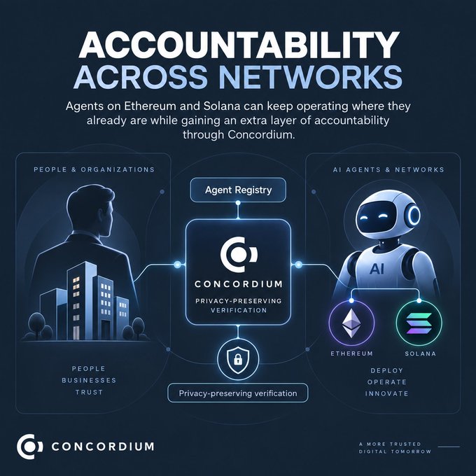 The image is a promotional graphic titled "ACCOUNTABILITY ACROSS NETWORKS" with the subtitle "Agents on Ethereum and Solana can keep operating where they already are while gaining an extra layer of accountability through Concordium." It illustrates a three-part ecosystem: on the left, "PEOPLE & ORGANIZATIONS" (people, businesses, trust), on the right, "AI AGENTS & NETWORKS" with an AI robot connected to Ethereum and Solana networks (deploy, operate, innovate), and in the center, the Concordium platform featuring an "Agent Registry," "Privacy-Preserving Verification," and a shield icon labeled "Privacy-preserving verification." The Concordium logo appears in the bottom left alongside the tagline "A MORE TRUSTED DIGITAL TOMORROW," and the graphic ties directly to the post's message about Concordium's Agent Registry and Verified by features providing accountability for autonomous AI agents operating across blockchain networks.