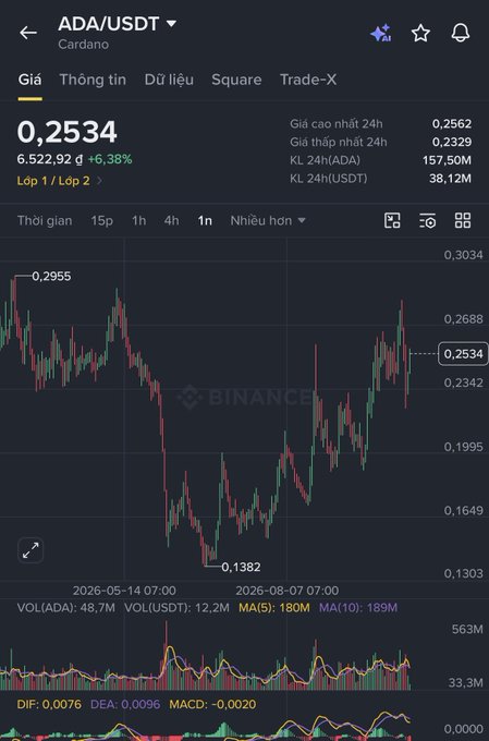 A Binance trading chart for ADA/USDT (Cardano) showing a price of 0.2534, up 6.38%, with candlestick data, volume indicators, and technical indicators (MA5, MA10, DIF, DEA, MACD) visible.