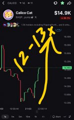 A mobile trading chart for 'Calico Cat' showing a price of $14.9K with the token logo (a cat in a glass) and the word 'jail' written in large yellow script across the candlestick chart.