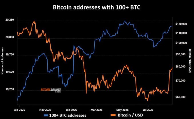 A chart titled "Bitcoin addresses with 100+ BTC" shows the number of whale addresses (blue line) rising from around 19,100 in September 2025 to approximately 20,200 by late 2026, juxtaposed against Bitcoin/USD price action (orange line) ranging roughly between $60,000 and $120,000, supporting the post's claim that the number of BTC whales continues to rise.