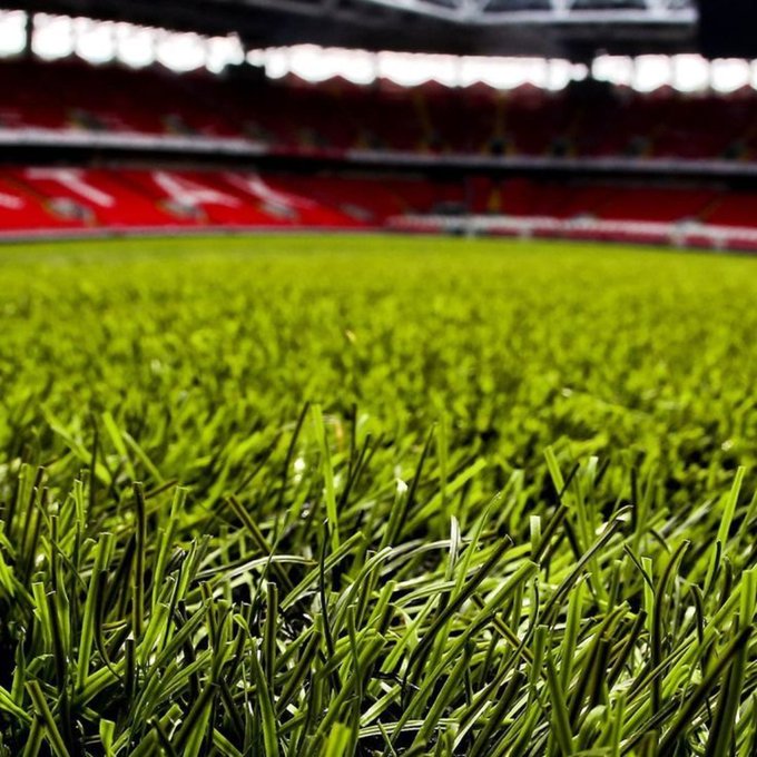 A low-angle shot of a vibrant green football pitch with blurred red stadium seats in the background, visually echoing the post's "green" start to the week with the lush grass symbolizing a fresh, positive beginning.