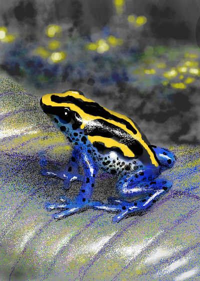 A vibrant blue and yellow poison dart frog sitting on a textured gray surface with a blurred colorful background.