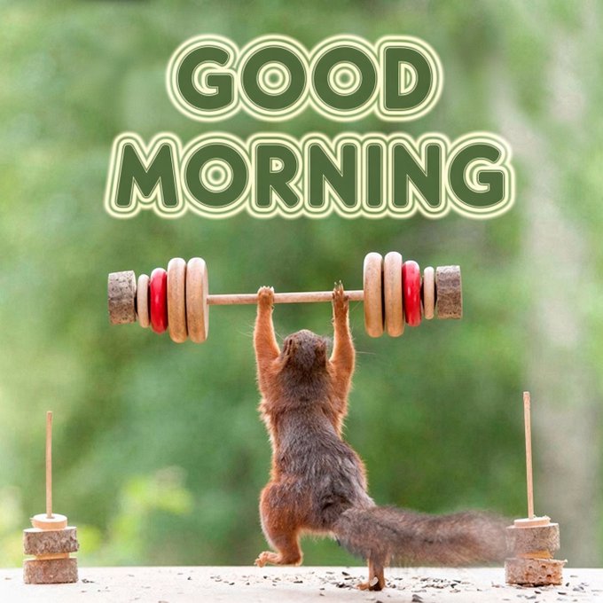 A squirrel lifts a barbell made of seeds and nuts above its head, with 'GOOD MORNING' text displayed in green bubble letters.