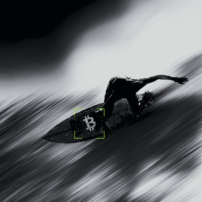 A silhouetted surfer rides a wave on a surfboard emblazoned with the Bitcoin (₿) symbol, symbolizing riding Bitcoin's momentum. The dynamic, motion-blurred scene visually reinforces the post's message about leveraging Bitcoin's momentum with the money app.