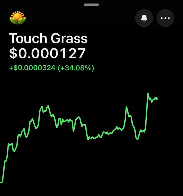 A Robinhood stock/crypto chart for 'Touch Grass' trading at $0.000127, up $0.0000324 (+34.08%), displayed with a green line graph on a black background.