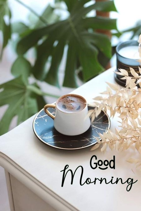 A white cup of foamy coffee sits on a dark saucer beside dried foliage and green leaves, with the text “Good Morning.”