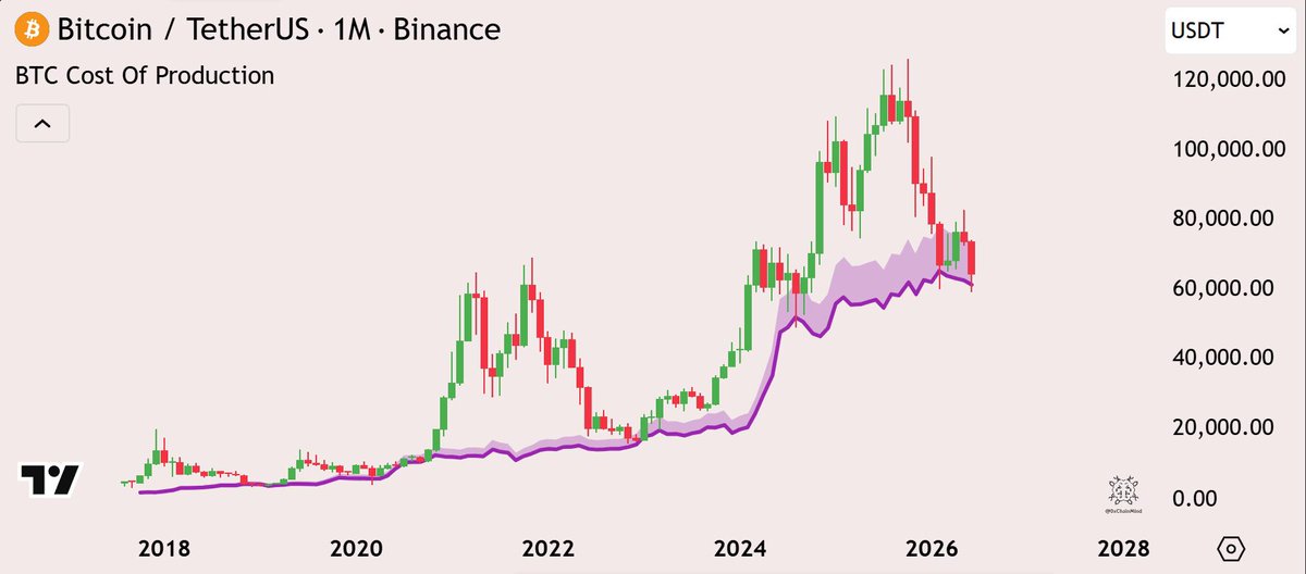 The image shows a line graph displaying the price of Bitcoin over time, with the x-axis representing dates and the y-axis indicating the value of Bitcoins. The chart is color-coded using green for Bitcoin going up and red for Bitcoin going down on each date. The chart also shows the cost of production in US dollars, which appears to be a downward slope as well, possibly due to changes in Bitcoin's price or other factors affecting cryptocurrency trading.