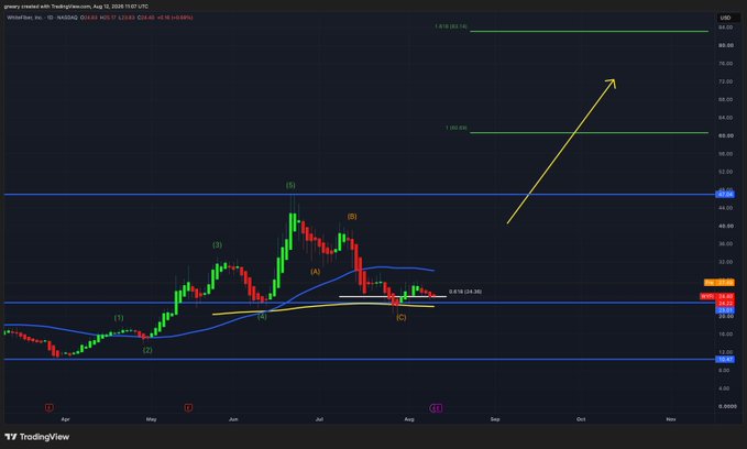 A daily candlestick chart of SilverFix Inc. (WYFI) from TradingView shows Elliott Wave labeling across a price range from ~$11 to ~$81, with a prominent yellow arrow projecting upward toward resistance near $81.65, suggesting a bullish breakout target despite the poster noting "no changes" to their position.