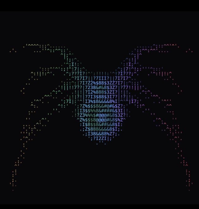 ASCII art depicting a colorful figure on a black background, rendered in rainbow-colored characters and symbols.