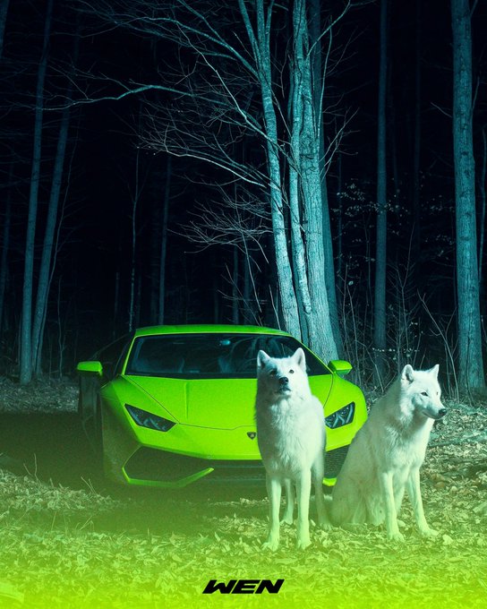 Two white wolves stand alert in front of a striking neon green Lamborghini parked in a dark forest at night, with "WEN" displayed at the bottom of the image—visually pairing the two wolves from the post with "two Lambos" as a cleaver play on words by @Wen_officialx.