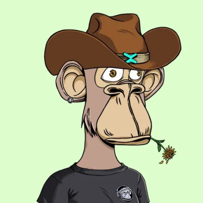 A cartoon illustration of a monkey wearing a brown cowboy hat and a black t-shirt, featuring a small blue "X" on the hatband that aligns with the BAXC brand mentioned in the post.