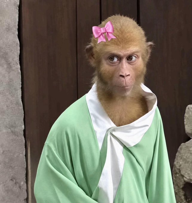 A monkey wearing a green robe with a white scarf and a pink bow on its head stands against a dark wooden background. The image humorously accompanies the post's morning greeting, with the monkey's calm yet slightly judgmental expression reflecting the "FUD" (fear, uncertainty, doubt) news mentioned about alleged North Korean hackers early on a Friday.