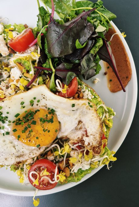 A close-up overhead view of a vibrant salad on a white plate featuring mixed greens, a fried egg with runny yolk, cherry tomatoes, sprouts, and a side of reddish dressing.