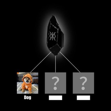 The image features a dog wearing an orange shirt, sitting next to three boxes with questions and the answer "Dog" written above them. The context suggests that this could be a game or an interactive content related to dogs, with the user potentially answering a question correctly by providing the right answer to the box containing the word "dog".