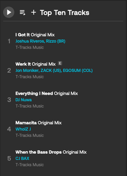 A dark-themed music app screen displaying a 'Top Ten Tracks' list featuring tracks like 'I Got It Original Mix' by Joshua Rivers, Rizzo (BR), 'Werk It Original Mix' by Jon Moniker, ZACK (US), EGOSUM (COL), and 'Everything I Need Original Mix' by DJ Nava, all from T-Tracks Music.