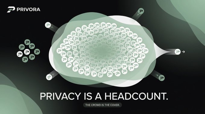 A PRIVORA advertisement displaying a brain-like cluster of 'P' logos with the text 'PRIVACY IS A HEADCOUNT. THE CROWD IS THE COVER.'