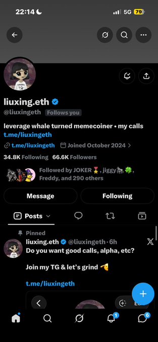 A screenshot of an X (Twitter) profile for "liuxing.eth" (@liuxingeth), which joined in October 2024, showing 34.8K following and 66.6K followers. The pinned post reads: "Do you want good calls, alpha, etc? Join my TG & let's grind" with a link to t.me/liuxingeth.