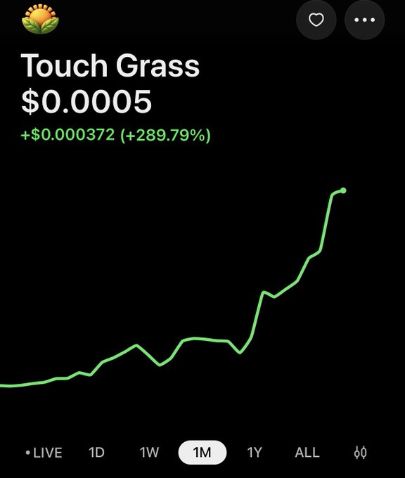 A cryptocurrency price chart showing 'Touch Grass' token at $0.0005, up +$0.000372 (+289.79%) over a 1-month period with a rising green trend line.