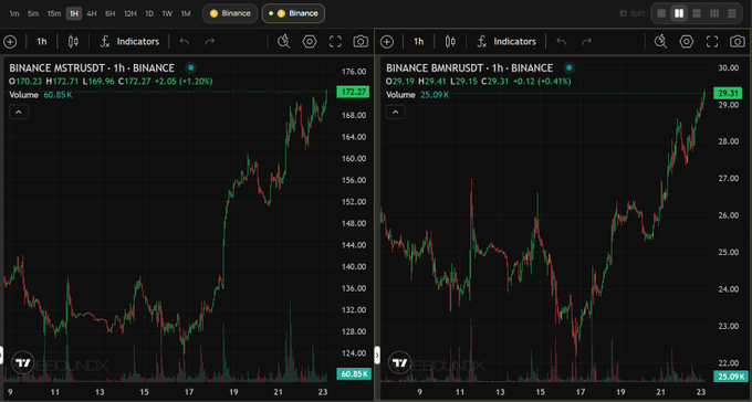 Two side-by-side cryptocurrency price charts on TrendX showing Binance (MSTR/USD) at $172.27 (+1.20%) and Binance (BNB/USD) at $29.31 (+0.41%) with green upward trends.