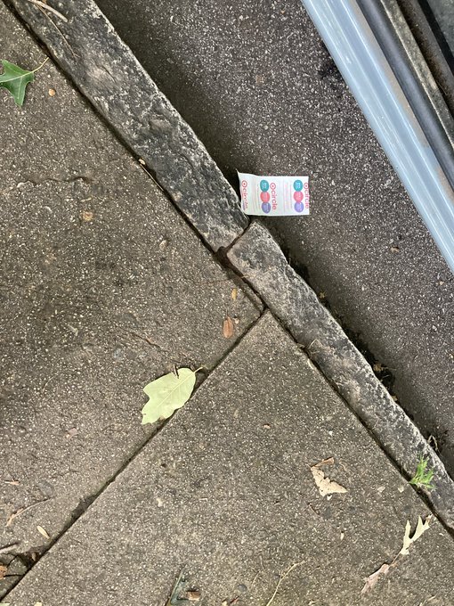 A discarded Blistex medicated lip balm package lies in the crack between concrete paving stones and a stone curb, with scattered dry leaves nearby.