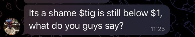 A message bubble reads "Its a shame $tig is still below $1, what do you guys say?" sent at 11:25.
