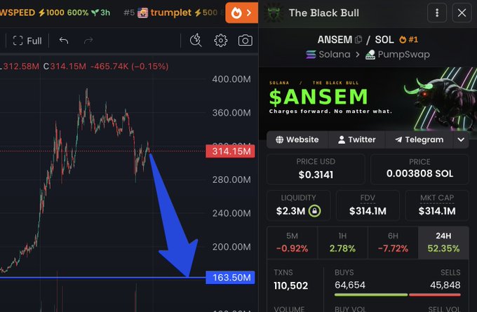 The image shows a trading chart of $ANSEM (a Solana meme token) on PumpSwap, displaying a current price of $0.3141 with declining momentum, alongside a large blue arrow pointing down to a target level of $163.50M market cap. The chart visually reinforces the post's bearish short position, illustrating the projected price drop the trader anticipates from the current ~$314M market cap down to their liquidation/target zone.