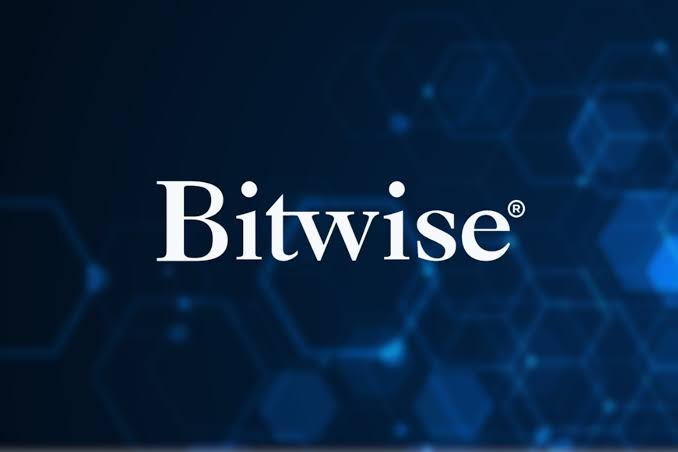 The Bitwise logo displayed in white text on a dark blue background with hexagonal patterns.
