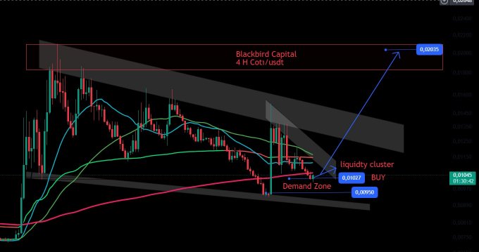 A crypto trading chart showing 'Blackbird Capital 4 H Coti/usdt' with annotations for a 'liquidity cluster', 'Demand Zone', and a projected bullish move targeting 0.02035, with moving averages and trendlines visible.