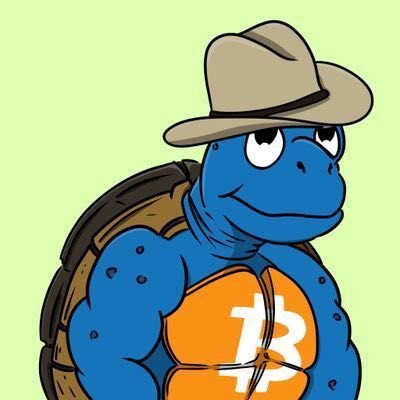A cartoon blue turtle wearing a cowboy hat and shell with a Bitcoin 'B' logo on its belly.