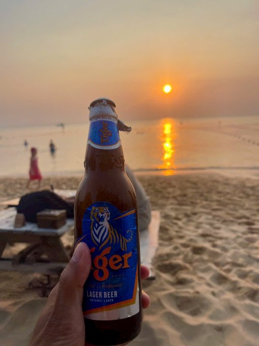 A hand holding a bottle of Tiger Lager beer in the foreground, set against a scenic beach with a sunset over the water.