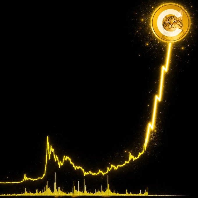 A stylized stock chart in glowing yellow against a black background, showing a sharp price spike followed by a decline and gradual recovery, with a coin featuring a cat's face and a 'C' symbol at the peak of the chart.