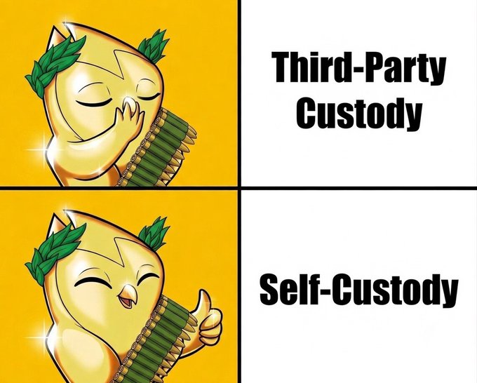 A meme comparing 'Third-Party Custody' and 'Self-Custody' using a cartoon cat dressed as Caesar, with the cat laughing in the top panel and giving a thumbs up in the bottom panel.